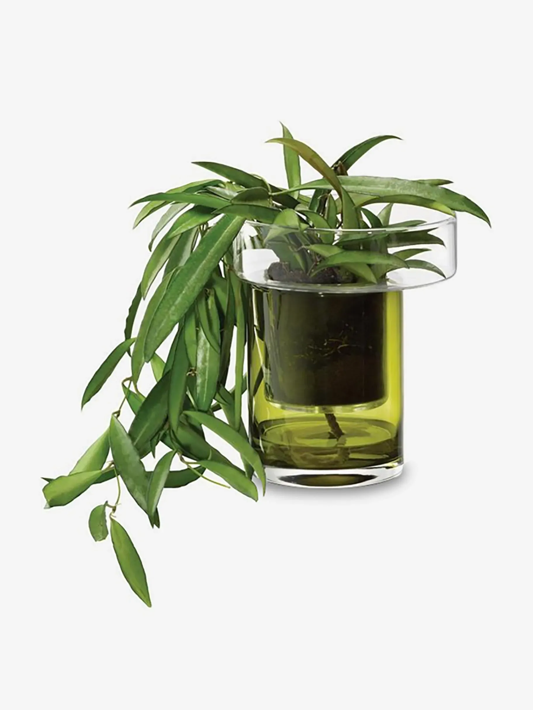BENSIMON Vases|Objets Décoratifs<Pot a plante avec reserve d'eau s verre ... VERT