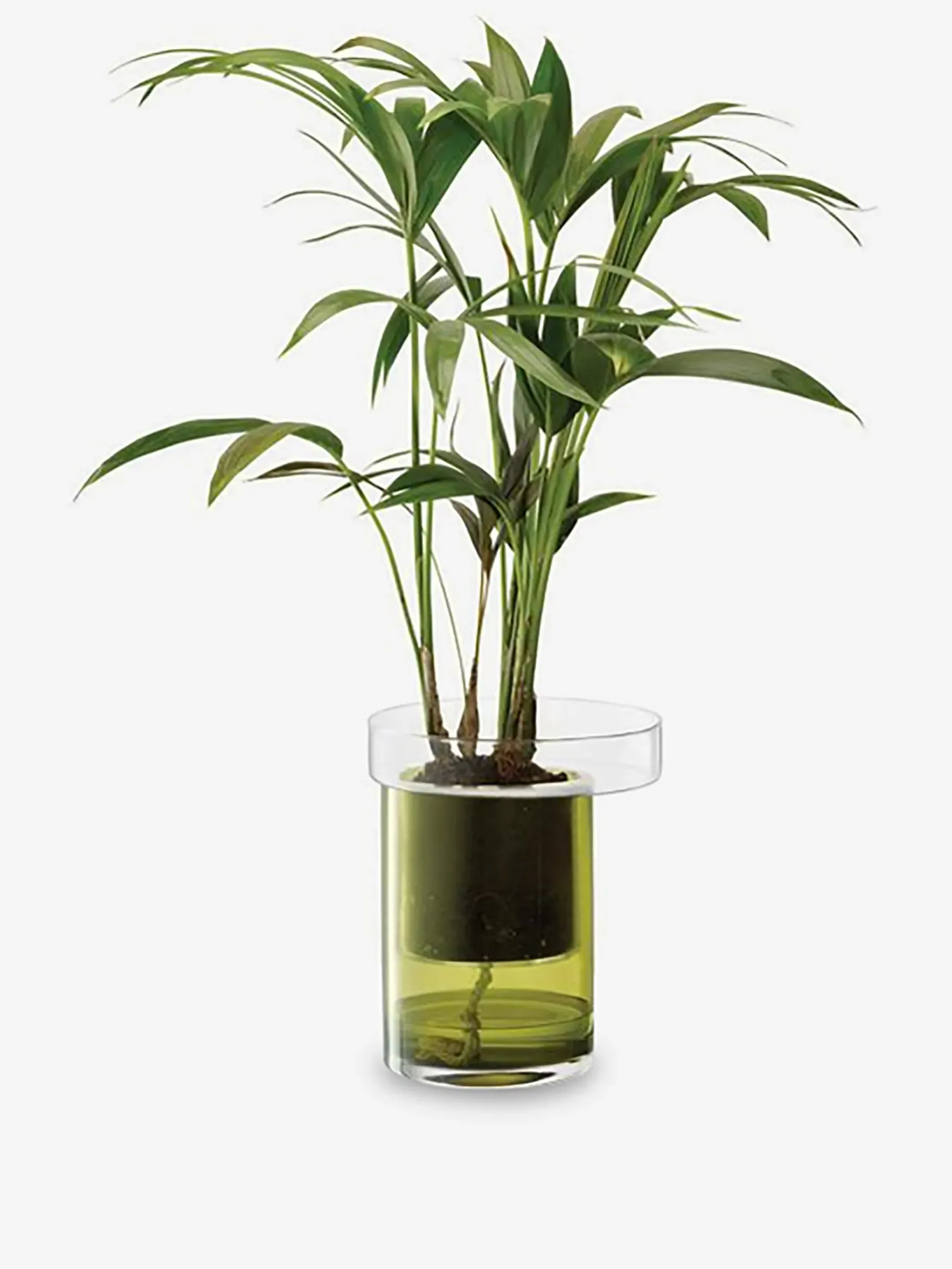 BENSIMON Vases|Objets Décoratifs<Pot a plante avec reserve d'eau s verre ... VERT