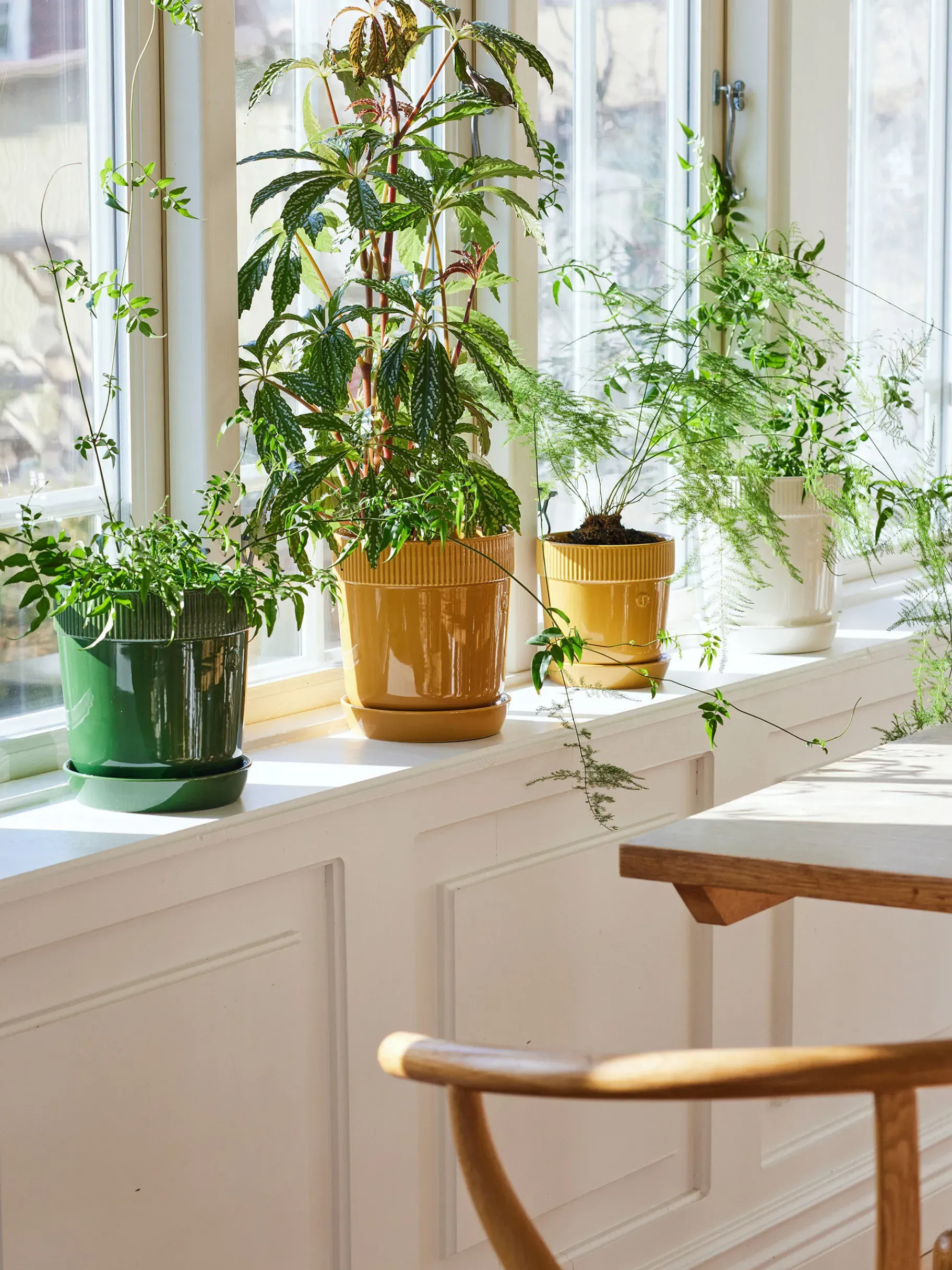 BENSIMON Vases|Objets Décoratifs<Pot plante m gres gres 17x19cm ... MOUTARDE