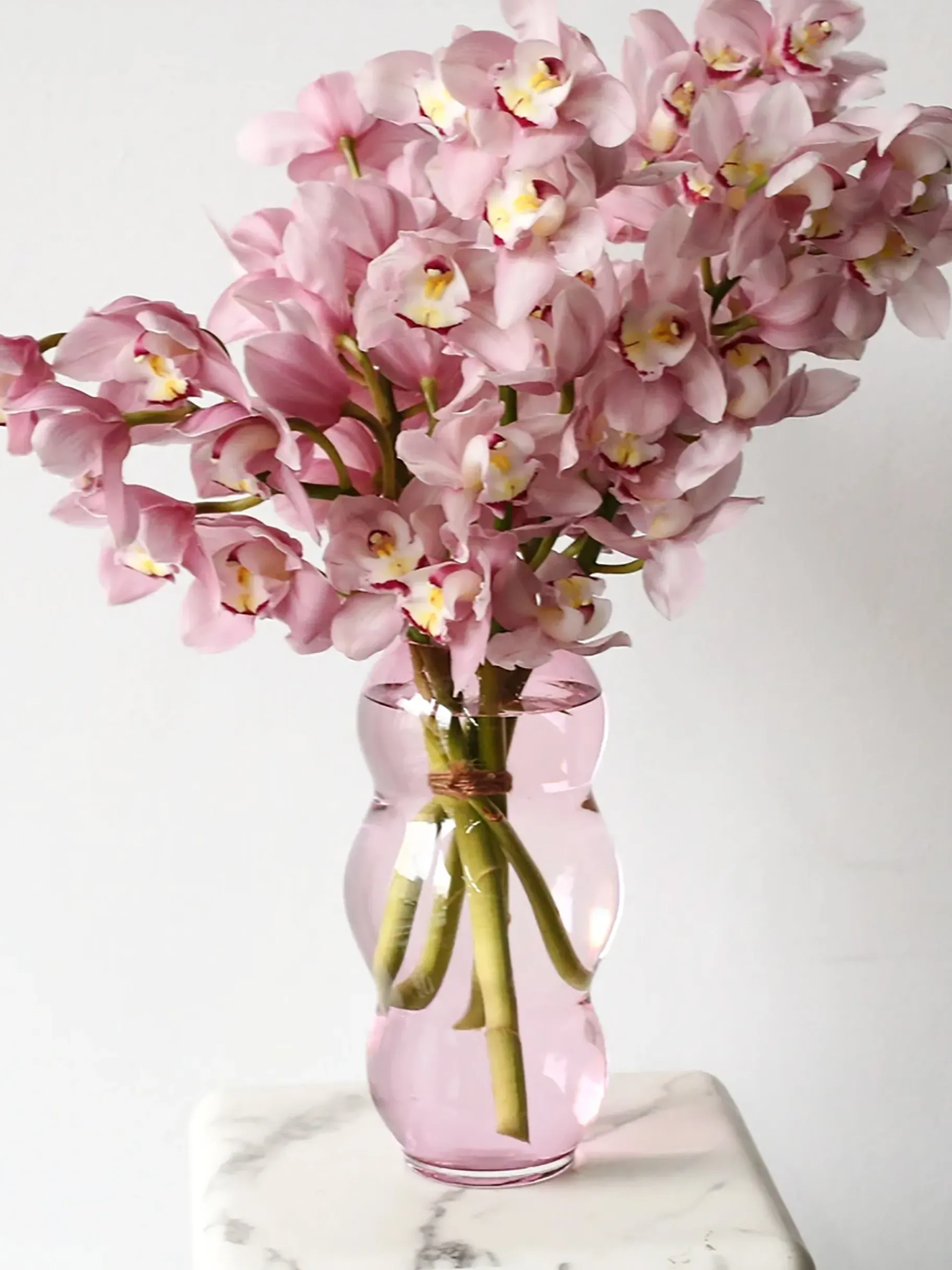 BENSIMON Vases<Vase muse - fundamental berlin FUSHIA